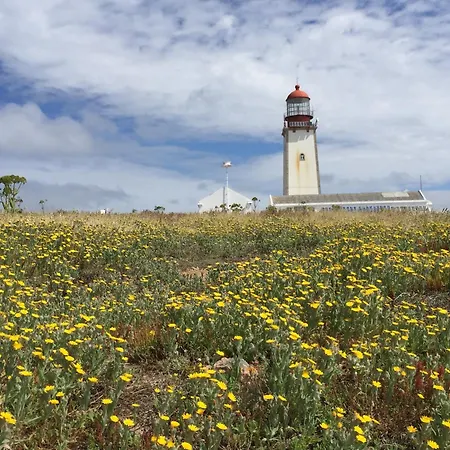 Sunny Near Obidos W Beaches ヴィラ
